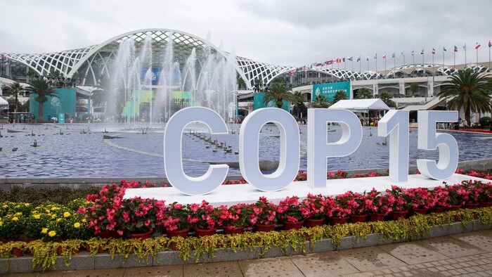 Le bâtiment dans lequel se déroule la COP15 en Chine.