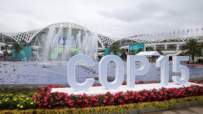 Un logo de la COP15 devant un bâtiment.