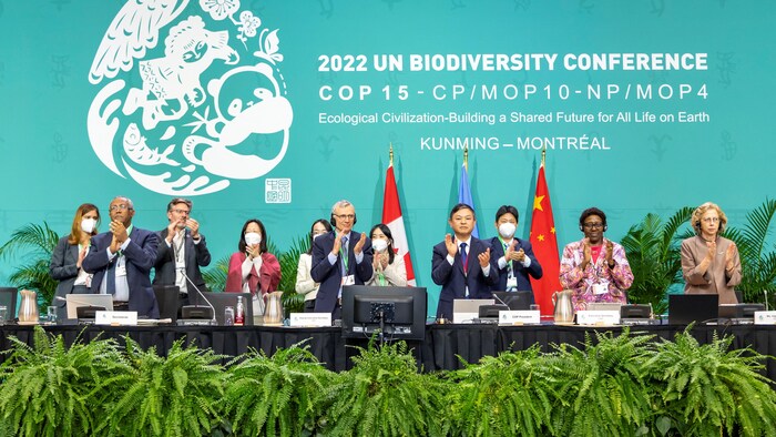Des délégués de la COP15 debout derrière une longue table appluadissent.
