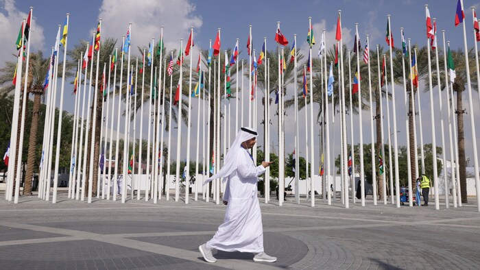 Un homme marche devant un grand nombre de mâts sur lesquels sont hissés des drapeaux de divers pays.
