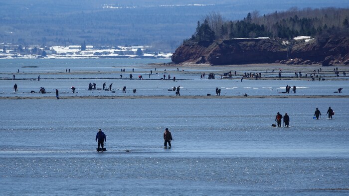 Des pêcheurs de coques.