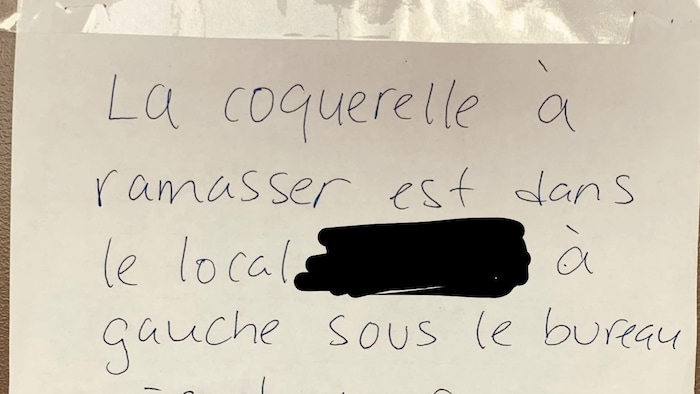 «La coquerelle à ramasser est dans le local à gauche sous le bureau près du mur».