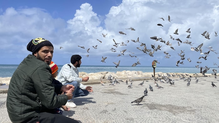 Deux hommes et un enfant nourrissent des pigeons sur la corniche au bord de la mer.