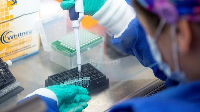 Une technicienne en biologie moléculaire prépare des échantillons de SRAS-CoV-2 dans le cadre du processus de séquençage de l'ARN à l'Université d'État de l'Ohio.