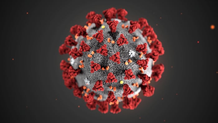 Structure en trois dimensions du virus.