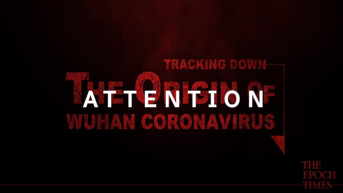 Capture d'écran d'une des premières images du documentaire Tracking down the origin of the Wuhan coronavirus, mis en ligne le 7 avril sur deux chaînes YouTube associées au quotidien Epoch Times. 