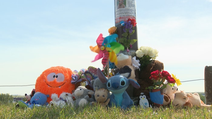 Un mémorial érigé pour Parker au pied d'un poteau en bois dans l'herbe rassemble de nombreuses peluches.