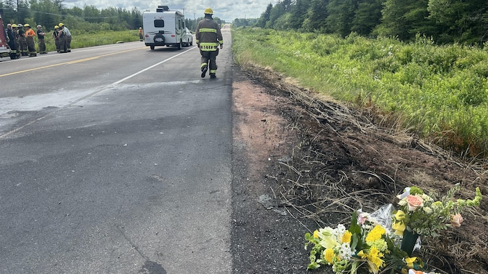 Des fleurs sur le bord d'une autoroute. 
