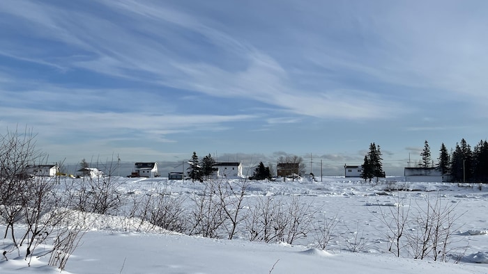 Des maisons alignées au bout d'un champ.