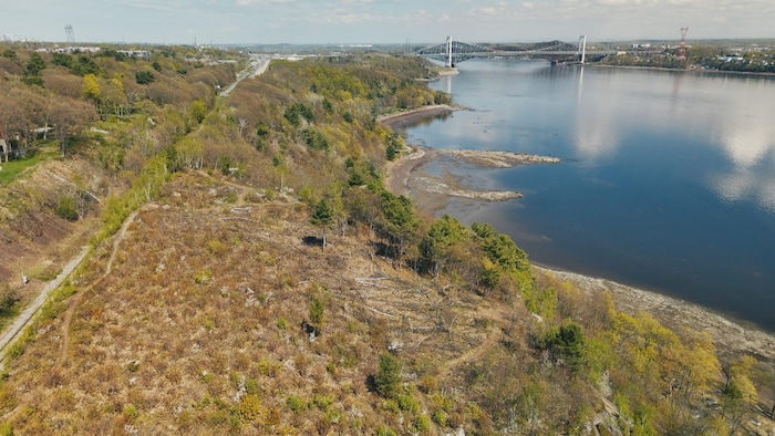 Entre le fleuve Saint-Laurent et un rail de chemin de fer, un terrain est parsemé d'arbres, certains toujours debout, d'autres abattus, les troncs jonchant le sol. 
