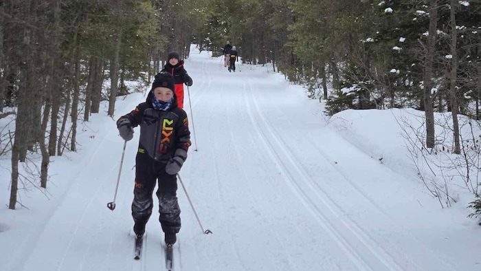 Des enfants font du ski de fond dans la forêt