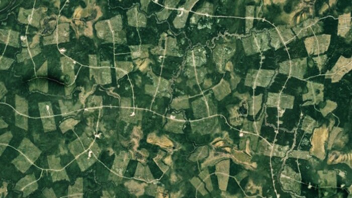 Vue aérienne de coupes en mosaïque et de chemins forestiers.