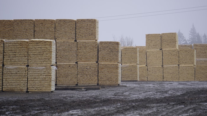 Cour de l'usine Damabois de Cap-Chat.