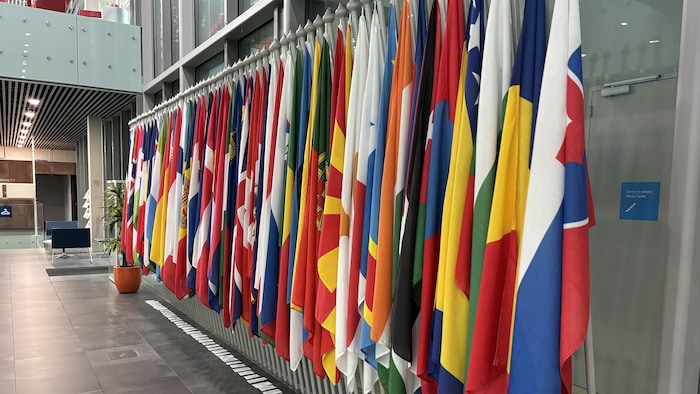 Des drapeaux, le long d'un mur.