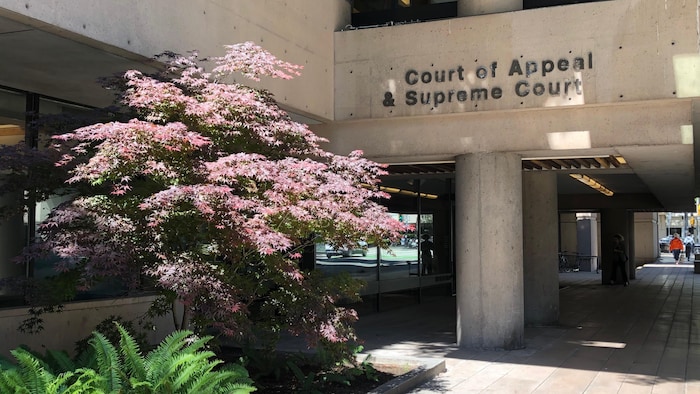  Court of Appeal et Supreme Court. 