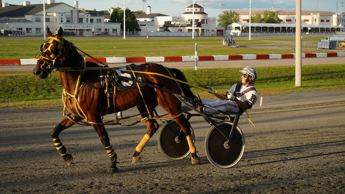 Un jockey et son cheval en pleine course.