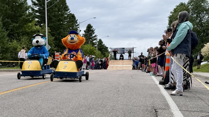 Deux mascottes, un lion orange et une loutre bleue, pilotent des boîtes à savon numérotées 1 et 2 sur une route asphaltée. Des spectateurs alignés sur le côté les encouragent, avec une rampe visible en arrière-plan.