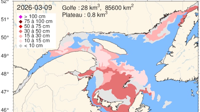 Estimé de l’épaisseur de glace