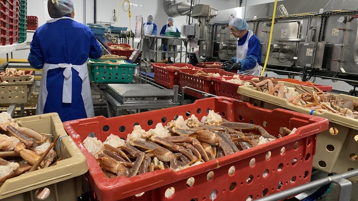 Des caisses de pattes de crabe des neiges.
