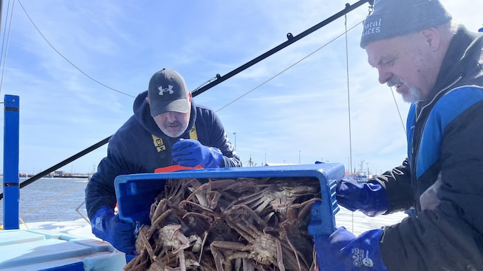 Des pêcheurs vers dans crabes dans un récipient.