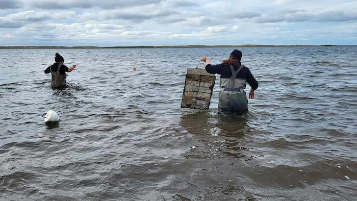 Des gens dans l'eau avec des cages à la main.