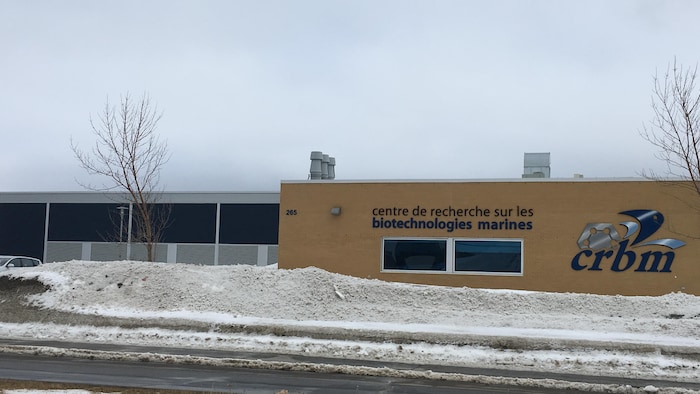 L'immeuble du CRBM, vu de l'autre côté de la rue, en hiver.