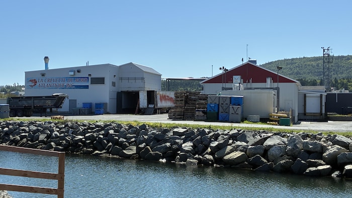 Usine de La Crevette du Nord-Atlantique Inc. à L'Anse-au-Griffon.