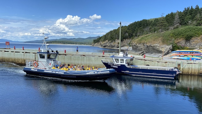 Deux bateaux dans un petit port. 