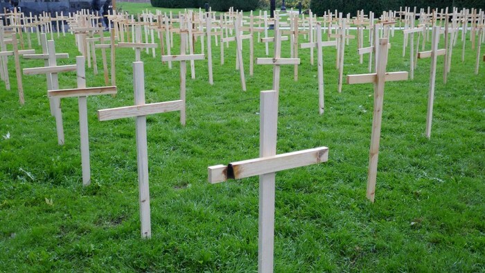 Photo de dizaines de croix blanches en bois plantées dans le gazon