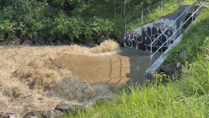 Le puissant ruisseau Mill Creek déborde à la suite des fortes pluies qui frappent Edmonton.