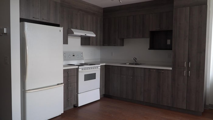 Une cuisine dans un logement.