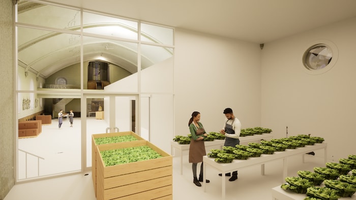 Un dessin où l'on voit deux individus dans une serre entourée de salade et dans une fenêtre à l'arrière deux autres personnes au loin dans un corridor.