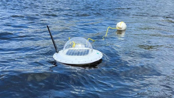 Un détecteur d'algues bleues flotte sur l'eau.