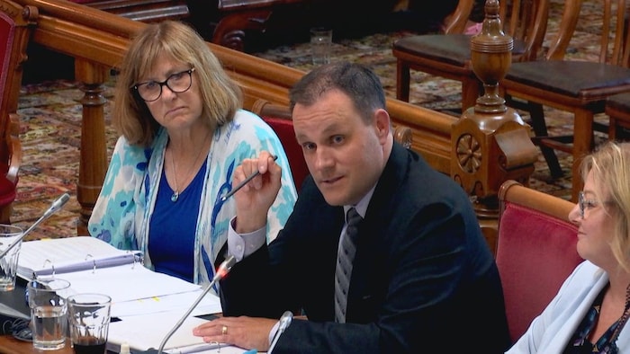 Daniel Mills devant le comité 