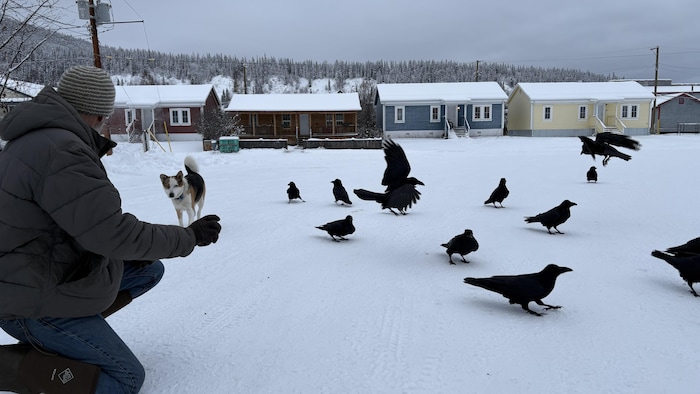 Un homme et son chien en compagnie de corbeaux.