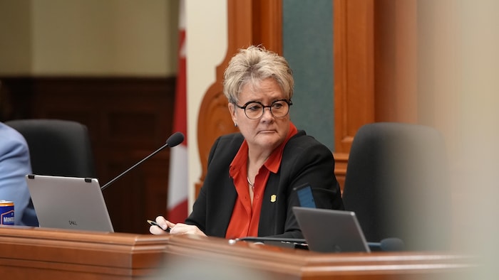 Danielle Berthold durant la séance du conseil.