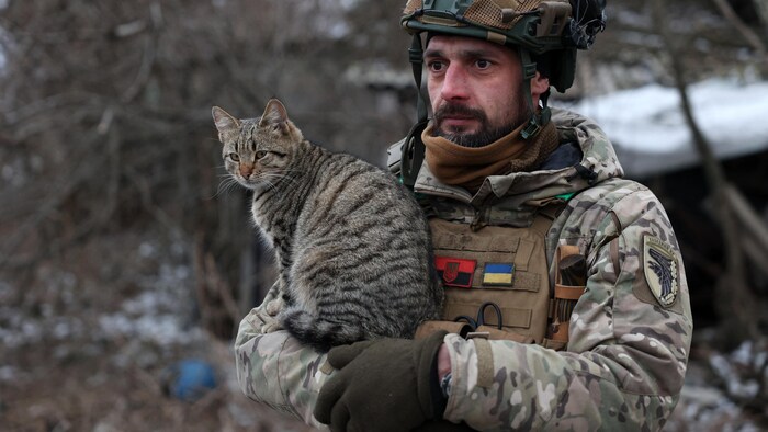 Le soldat a un chat dans les bras.