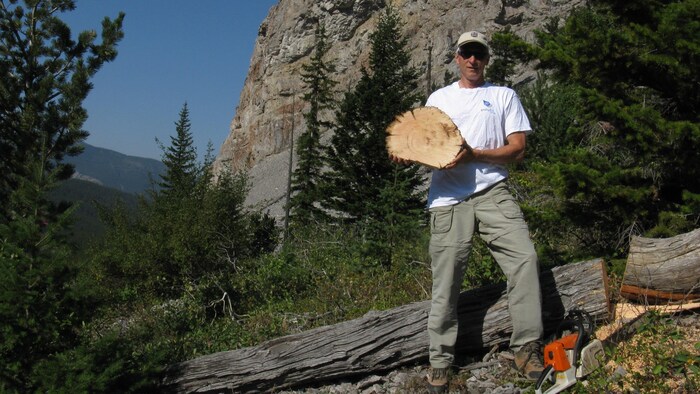 Dave Sauchyn, debout, montre l'intérieur d'un tronc d'arbre abattu.