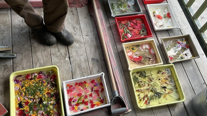Des bacs sur un balcon à l'extérieur contiennent des fleurs.