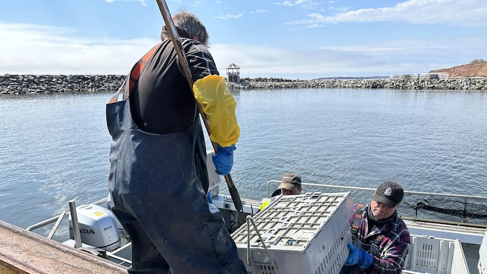 Deux hommes débarquent une caisse de homards.