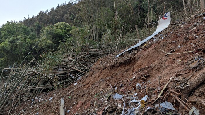 2022 年 3 月 21日，東航的一架波音737-800在廣西梧州市附近的山區墜毀，機上載有 132 人。