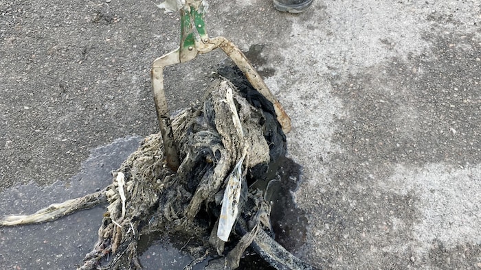 Un amas de débris retrouvé dans le réseau d'eaux usées.