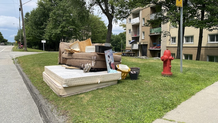Des matelas, un divan, des meubles, un tableau et des chaussures jonchent un terrain.