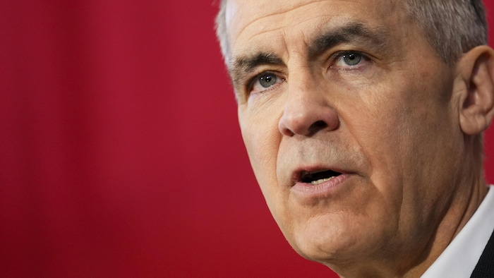 Gros program du visage de Mark Carney.