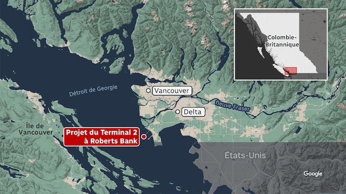 Une infographie.