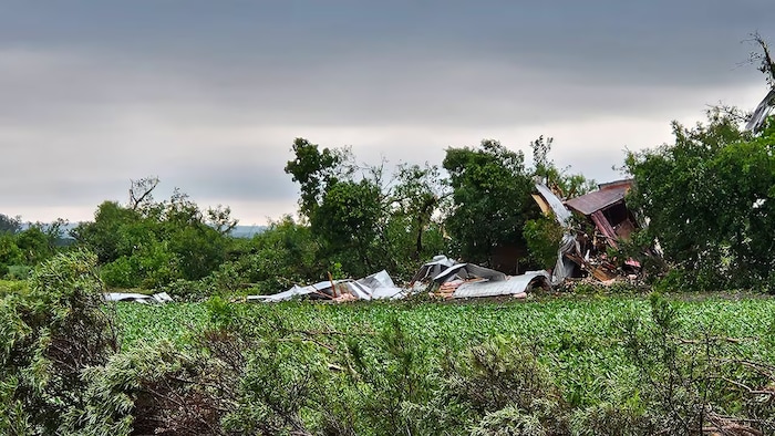Des débris provenant d'un bâtiment d'une ferme sont emmêlés et détruits dans une rangée d'arbres à Pelly, dans l'est de la Saskatchewan.