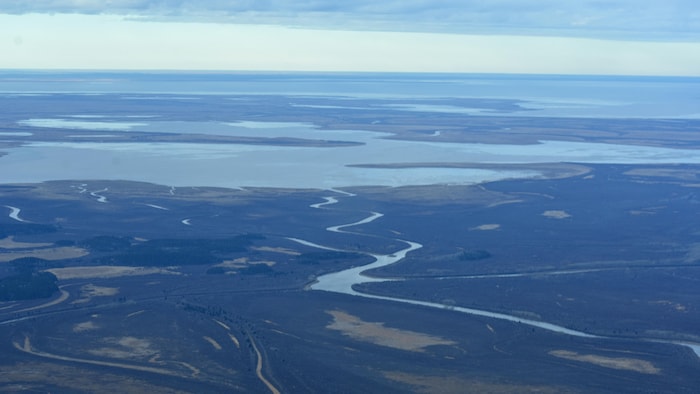 Delta formé de la rencontre de la rivière de la Paix, de la rivière des Esclaves et de la rivière Athabasca, photographié à partir d'un avion.
