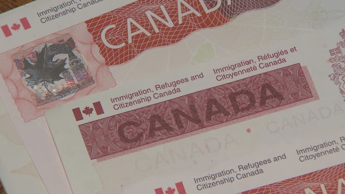 Un document d'Immigration, Réfugiés et Citoyenneté Canada (IRCC).