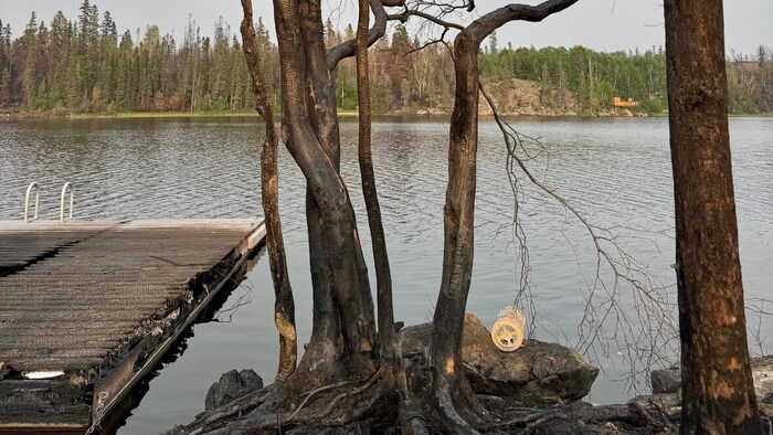 Des arbres et un quai visiblement brûlés.