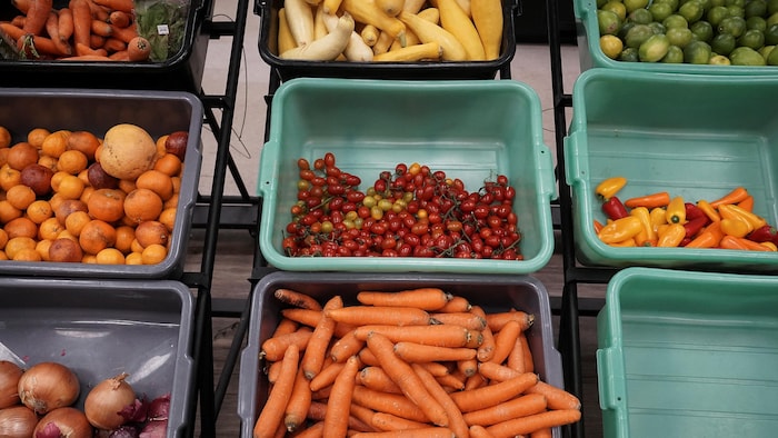 Plusieurs bacs en plastique photographiés de haut. Ils contiennent des légumes comme des carottes, des courges et des oignons, ou des fruits, comme des limes et des oranges.